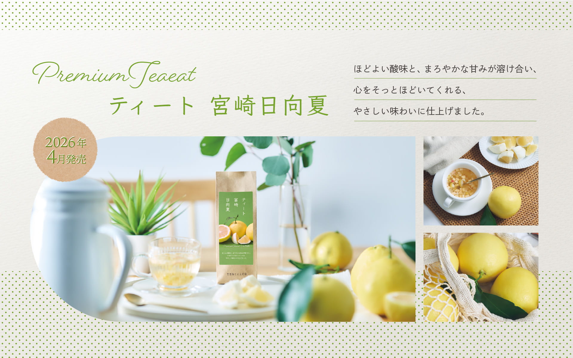 ティート宮崎日向夏