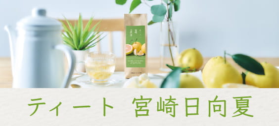 ティート宮崎日向夏