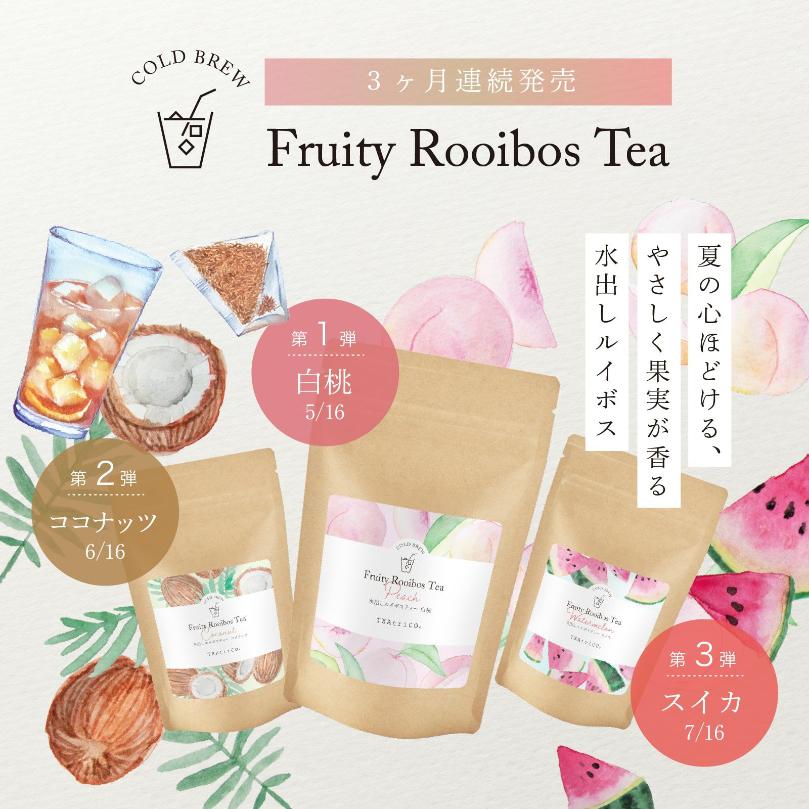 水出しルイボスティー スイカ | TEAtriCO ティートリコ公式オンライン